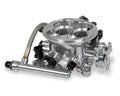 THROTTLE BODY TERM POLISH