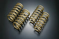 Tein 02-06 Sentra SE-R Spec V H Tech Springs