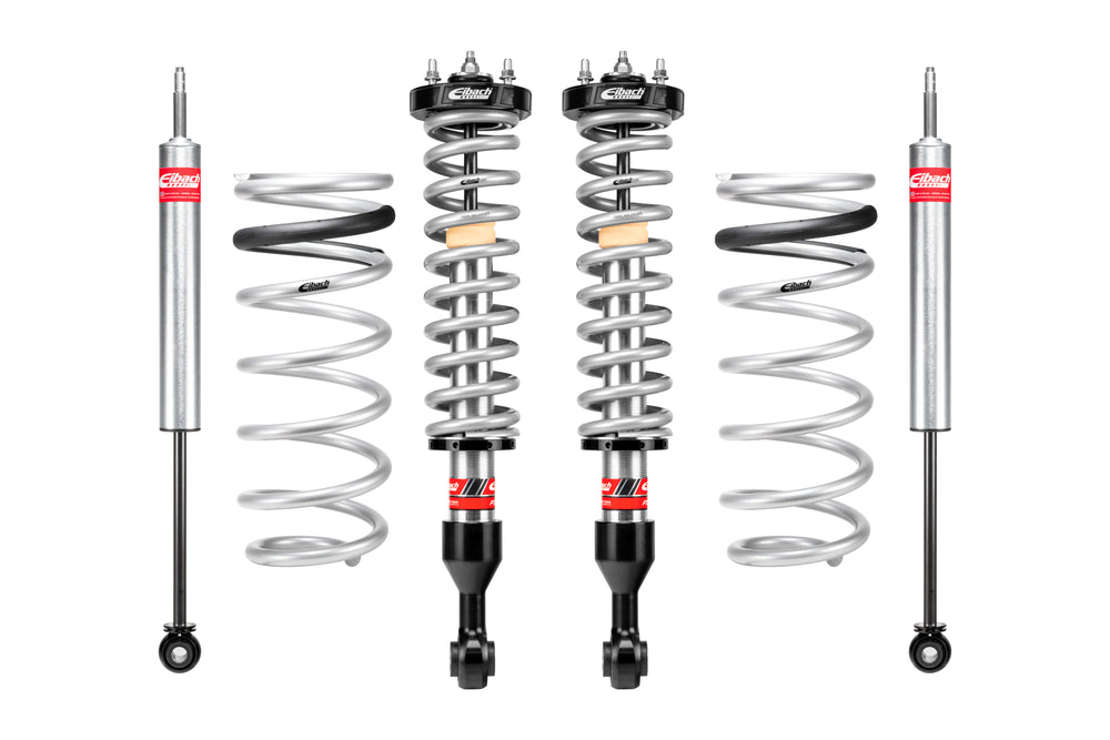 Eibach shock absorber