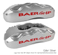 13" Pro+ Brake Sys RR Slvr 71-76 GM car