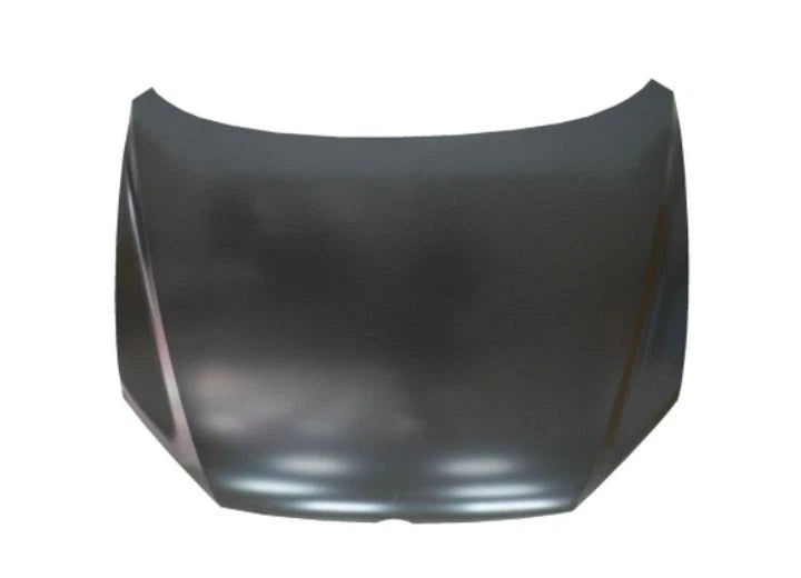 HOOD PANEL ASSY ALL FORD FREESTYLE 0507