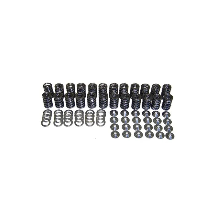 Valve Spring Set, 24V VR6 w/ R