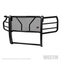 Westin silver winch