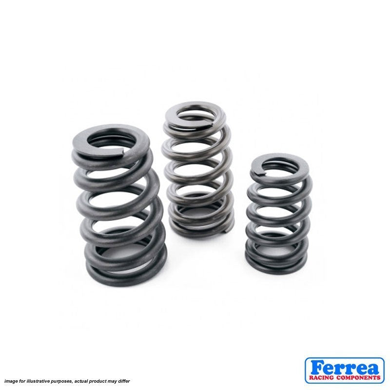 Ferrea VW BTW Single Valve Spring - Set of 20