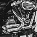 Vector auto part