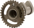 Hot Cams 10-18 RM-Z 250 Intake Camshaft - Stage 2