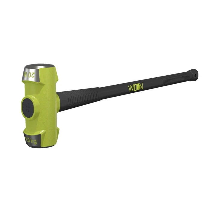 TS200-030 2T ELECTRIC HOIST 30' LI