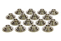PAC RACING SPRINGS springs