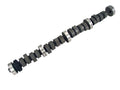Magnum 224/224 S-Flat Cam Ford 352-428