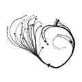 PRO600 Ford V8 Complete Harness