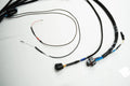 PRO600 Ford V8 Complete Harness