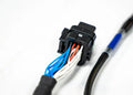 PRO600 Ford V8 Complete Harness