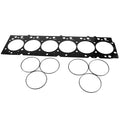 Hamilton Cams auto part