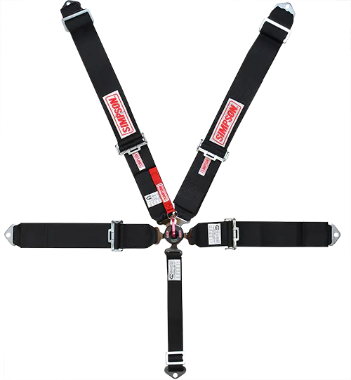 5-PT Harness System CL P/D B/I Ind 55in