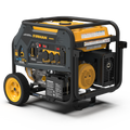DUAL FUEL 10000/8000W ELECTRIC STAR