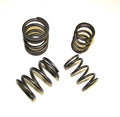 Valve Spring Set, HD, 20V I5