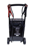 250 PEAK AMPS AUTOMATIC BATTERY CHA