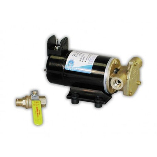 OIL CHANGE PUMP 24V DC CE
