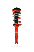 Pedders shock absorber detail