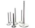 Ferrea Chevy/Chry/Ford BB 2.6in 11/32in 6.9in 0.29in 25 Deg Tulip Ti Comp Intake Valve - Set of 8
