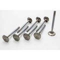 Manley Performance titanium intake system