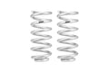 Eibach springs detail