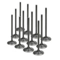 Supertech BMW N54 Turbo Black Nitrided Intake Valve - Set of 12