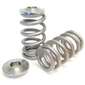 2.3L Ecoboost Beehive Valve Springs
