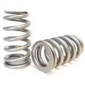 2.3L Ecoboost Beehive Valve Springs