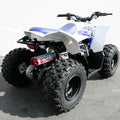Big Gun 17-23 Yamaha YFZ 50 Evo M Series Full System Exhaust