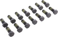 RING GEAR BOLT KIT