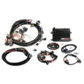 Holley auto part detail