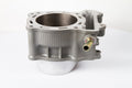 Cylinder Works 2010 Kawasaki KX 250 F 250cc STD Bore High Compression Cylinder Kit 13.8:1 Comp.