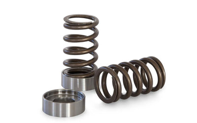 Kelford Cams springs