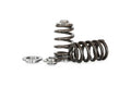 Kelford 4G63DOHC PACALOY Spring / Ret set