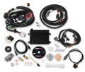 HP ECU AND HARNESS, FORD MPFI, NTK
