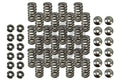 Ferrea 15-24 BMW S58 Single Spring Kit