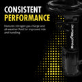 ROADMATIC STRUT ASSEMBLY