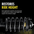 ROADMATIC STRUT AND COIL SPRING ASS