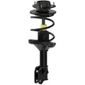 ROADMATIC STRUT AND COIL SPRING ASS