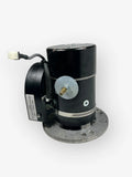 185 GEN2 3KW 12V MOTOR ASSY