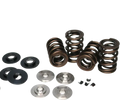 Ferrea Ford Coyote 5.0L Street/Strip Dual Spring Kit