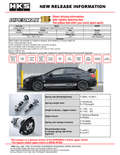 HKS HIPERMAX S WRX STI Front Pillow Ball Full Kit