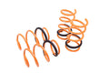 Megan Racing springs