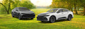 Covercraft Custom Fit Car Covers - Ultratect Gray