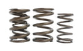 Kelford NISSAN VQ35 VALVE SPRING SET