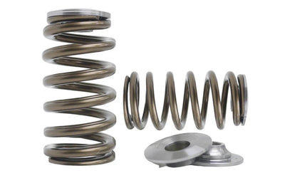 Kelford Cams springs