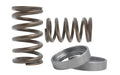 Kelford NISSAN VQ35 VALVE SPRING SET