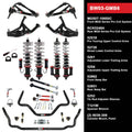 QA1 91-96 GM B-Body Level 3 Big Wheel Kit