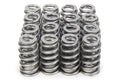 PAC RACING SPRINGS springs